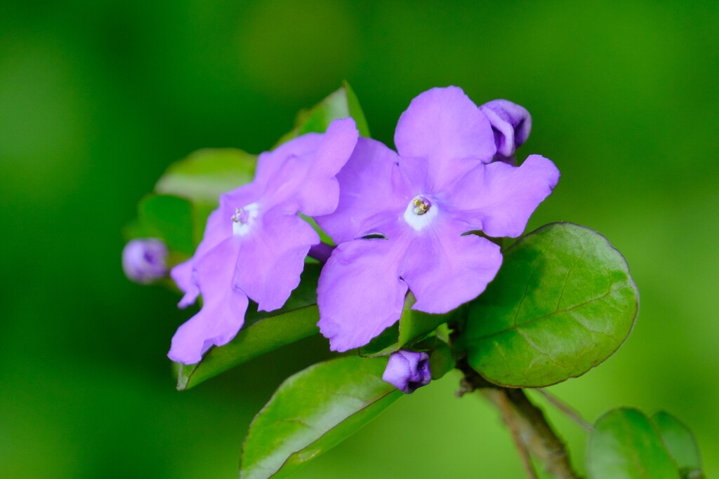 散歩の途中で。1