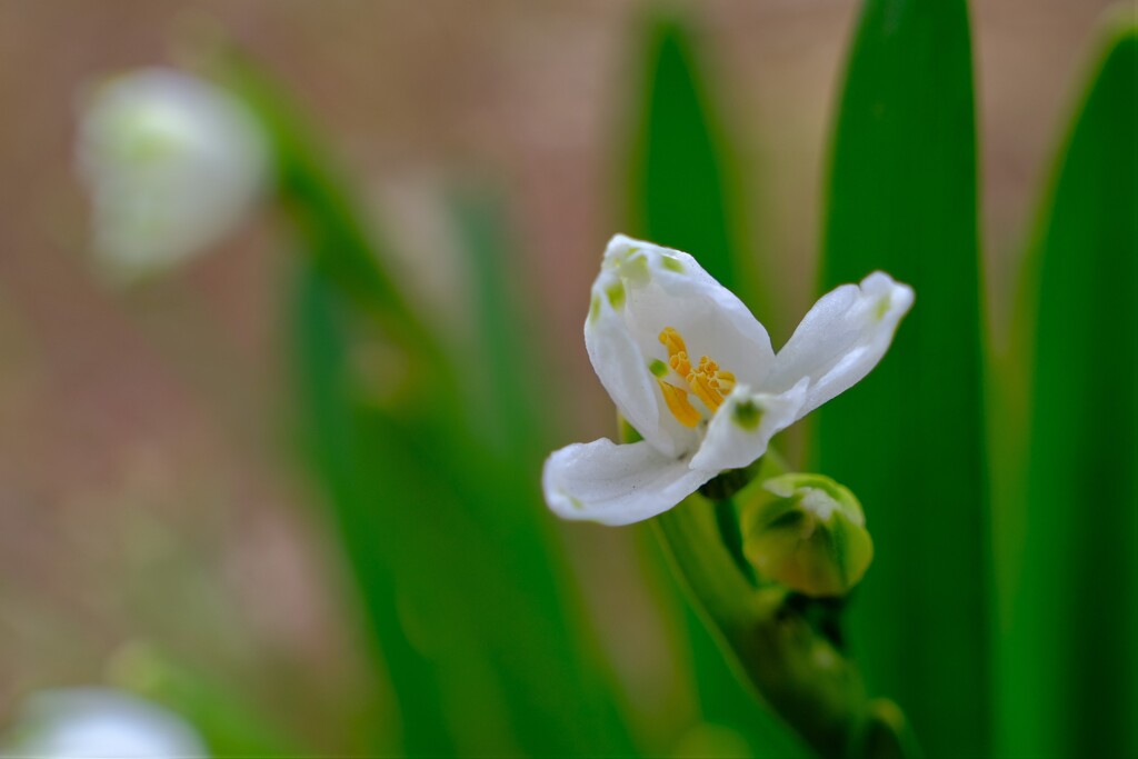 散歩の途中で。３