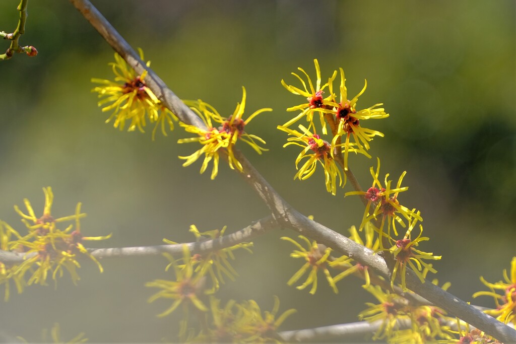 散歩の途中で。Ⅸ