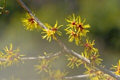 散歩の途中で。Ⅸ