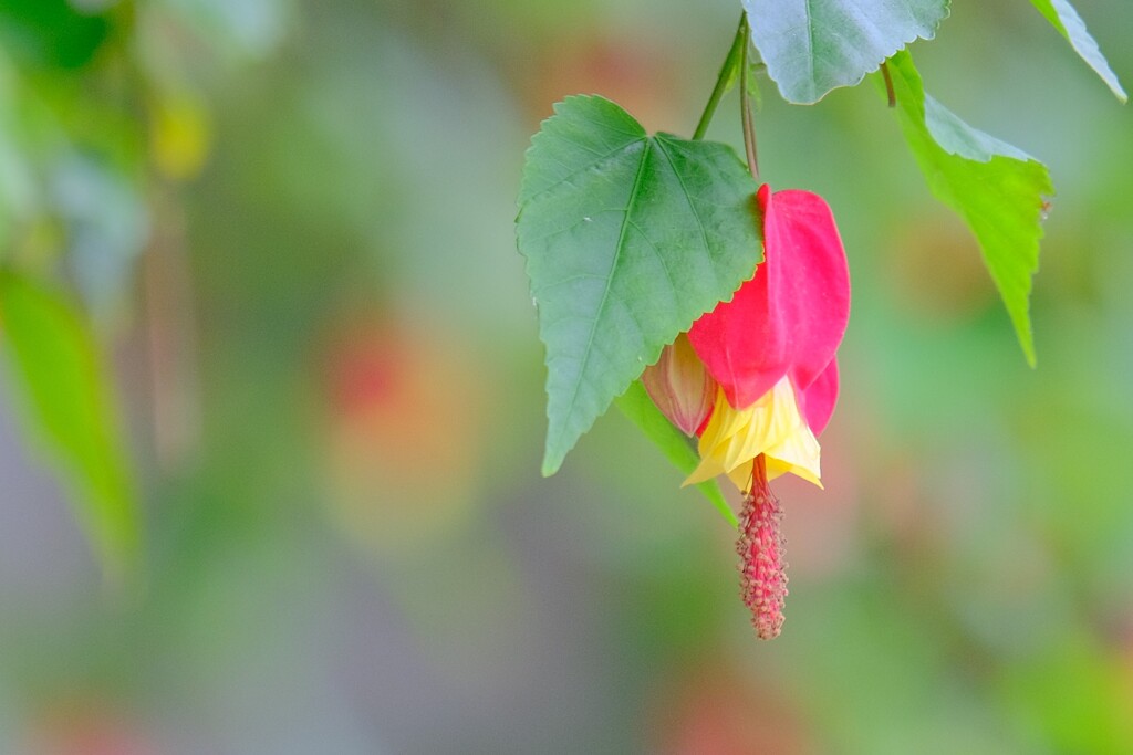 散歩の途中で。