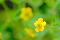 散歩の途中で。