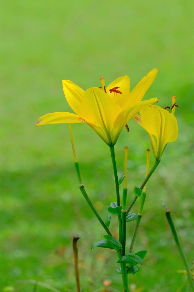 散歩の途中で。Ⅰ