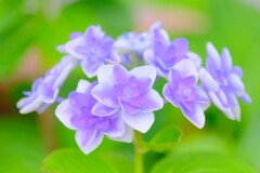 散歩の途中で。