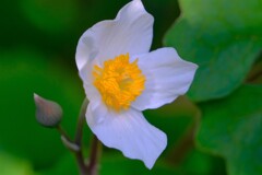 散歩の途中で。３