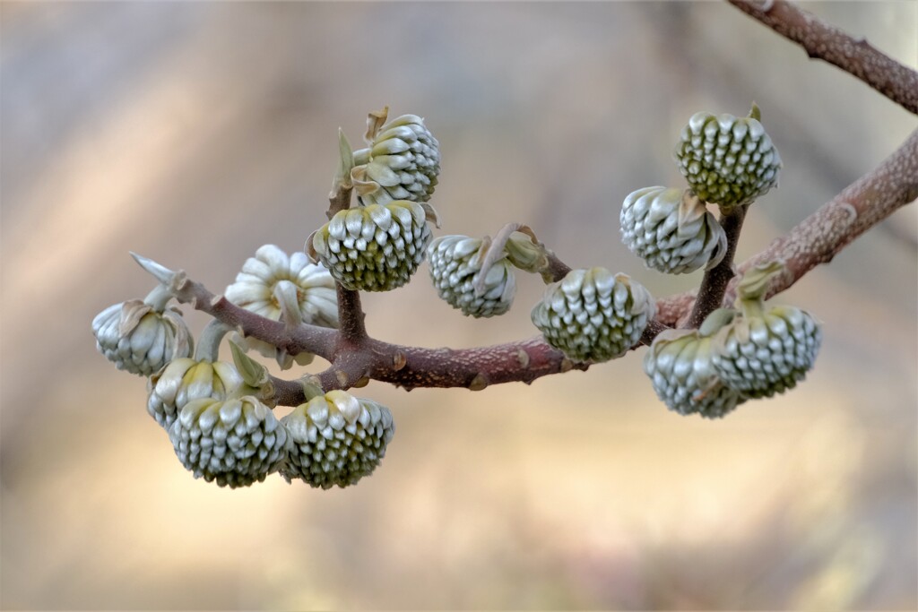 散歩の途中で。Ⅳ