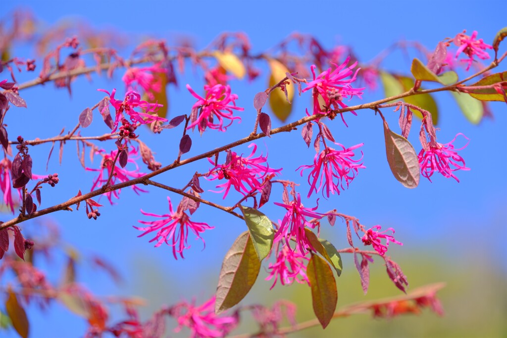 散歩の途中で。13