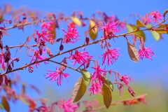 散歩の途中で。13