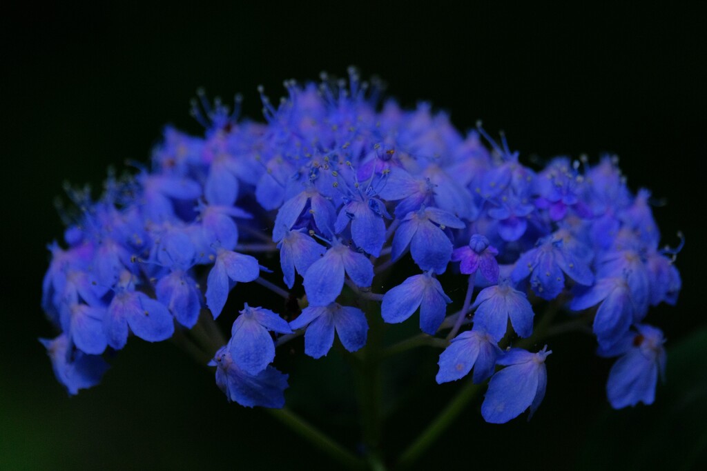 散歩の途中で。