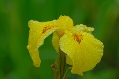 散歩の途中で。