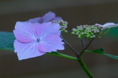 散歩の途中で。