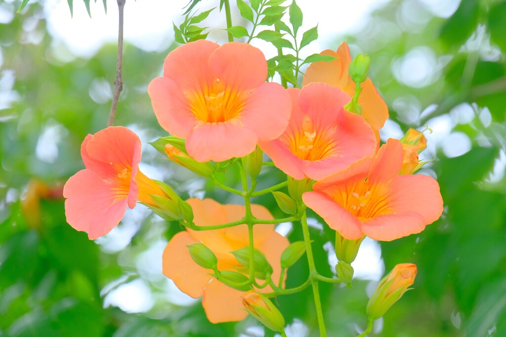 散歩の途中で。