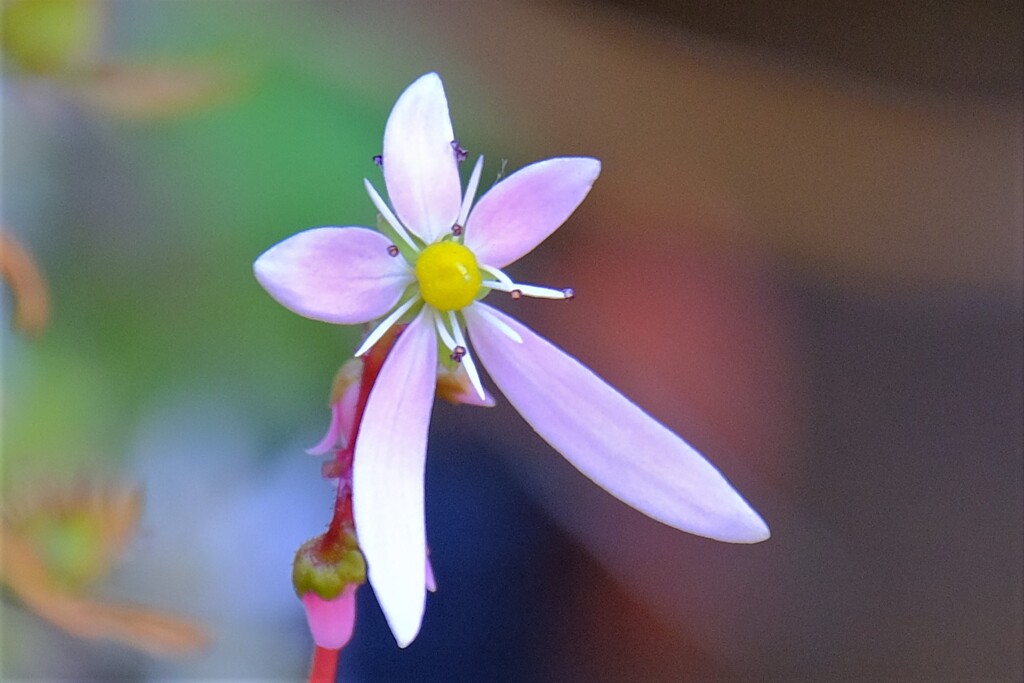 散歩の途中で、Ⅰ