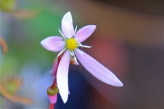 散歩の途中で、Ⅰ