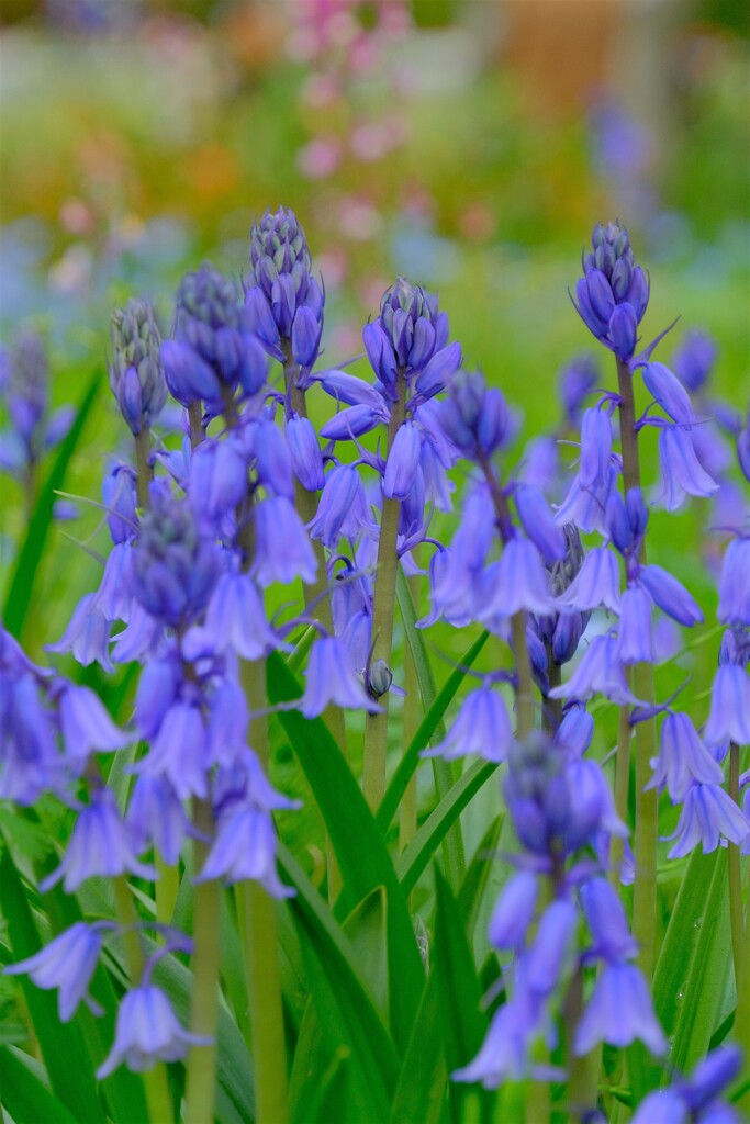 散歩の途中で。③