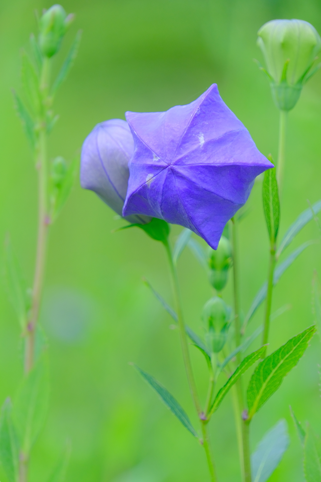 散歩の途中で。Ⅵ