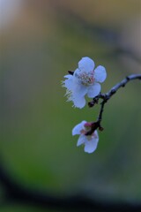 散歩の途中で。Ⅱ