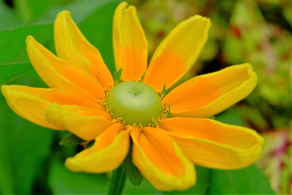 散歩の途中で。②