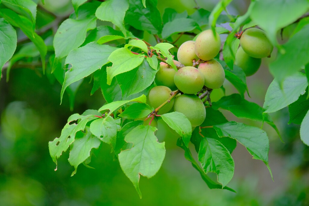 散歩の途中で。