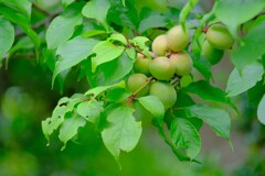 散歩の途中で。