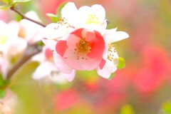 散歩の途中で。Ⅰ