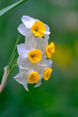 散歩の途中で。④