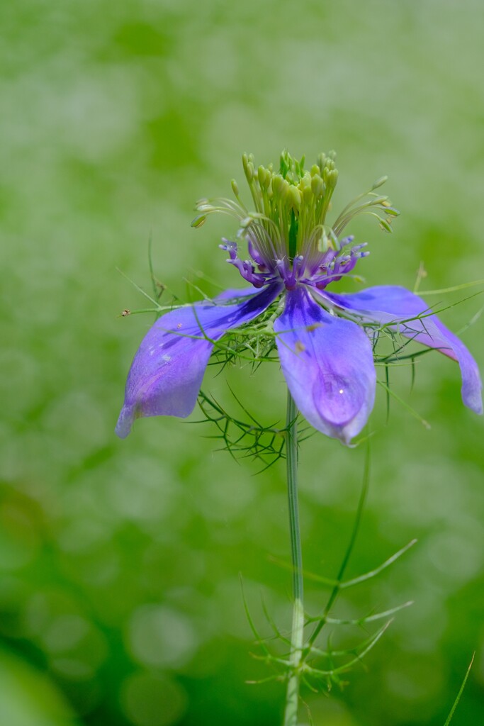 散歩の途中で。④
