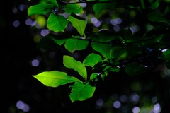 散歩の途中で。Ⅰ