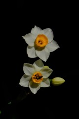 散歩の途中で、１