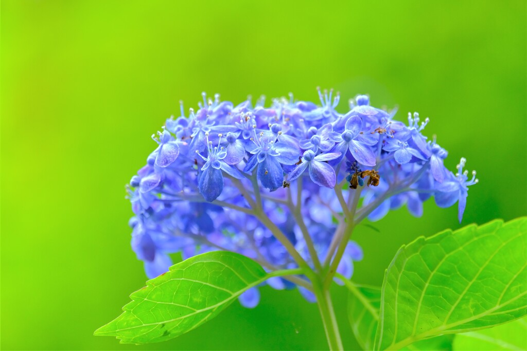 散歩の途中で。Ⅶ