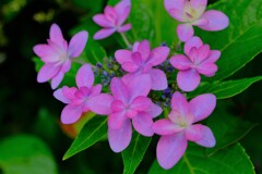 散歩の途中で。Ⅷ