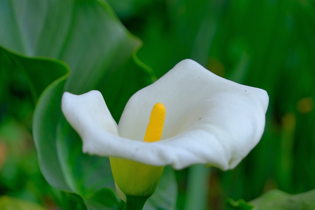 散歩の途中で。⑥