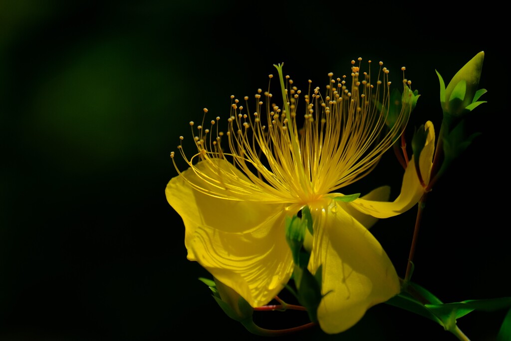 散歩の途中で。