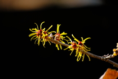 散歩の途中で。Ⅱ