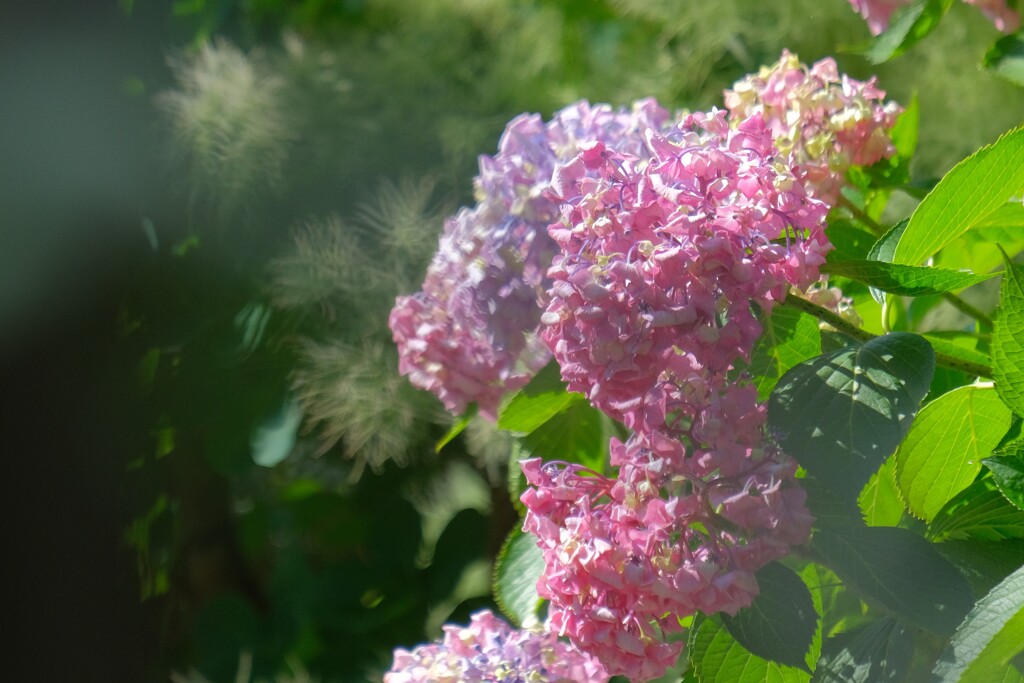 散歩の途中で。