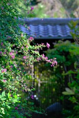 散歩の途中で。Ⅲ