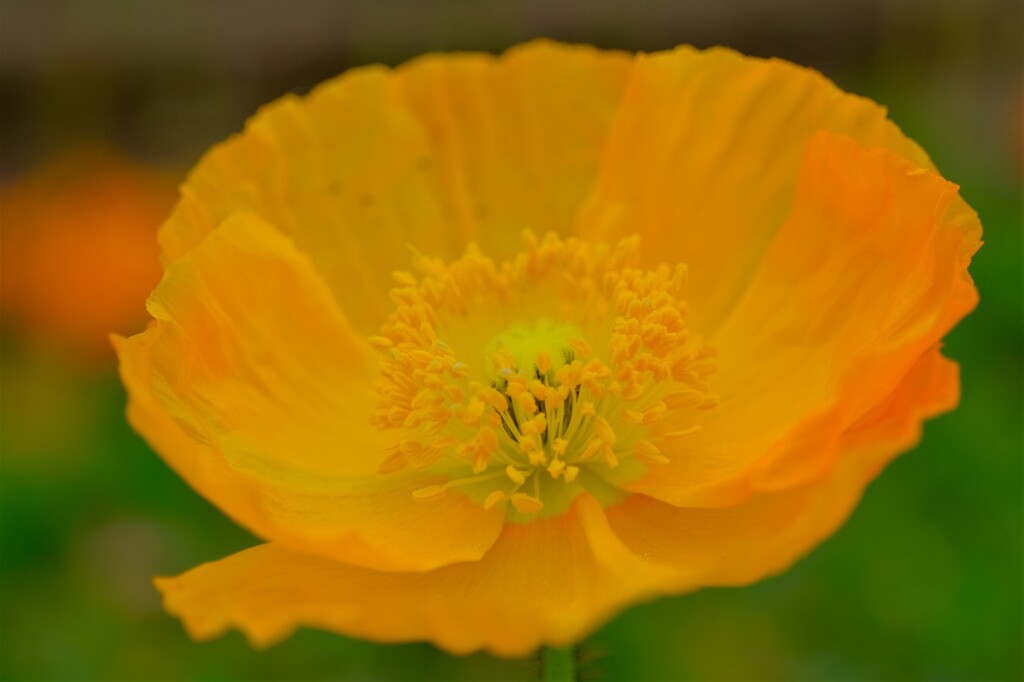 散歩の途中で。2