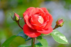 散歩の途中で、6