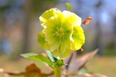 散歩の途中で。⑩