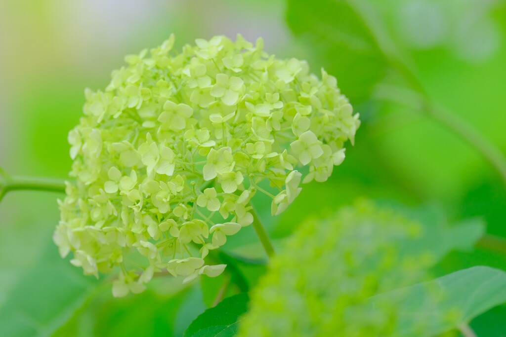 散歩の途中で。