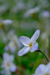 散歩の途中で。⑧