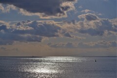 散歩の途中で。Ⅴ