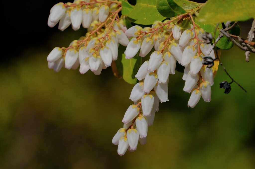 散歩の途中で。2