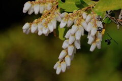 散歩の途中で。2