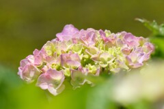 散歩の途中で。Ⅰ