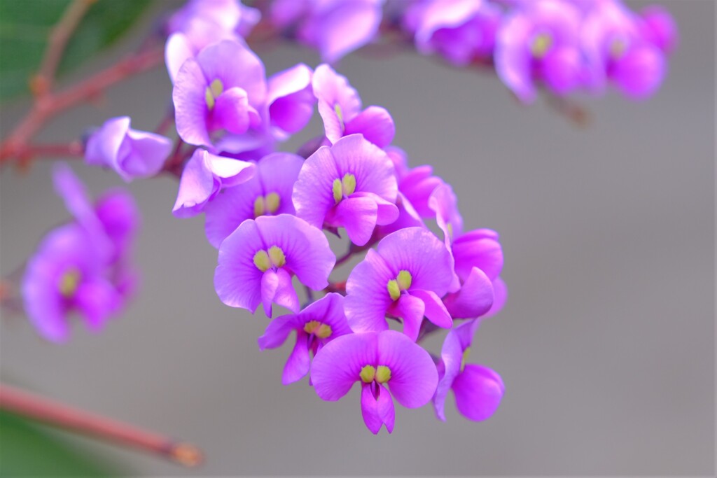 散歩の途中で。3