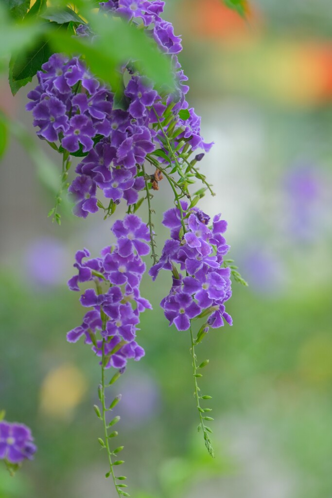 散歩の途中で。