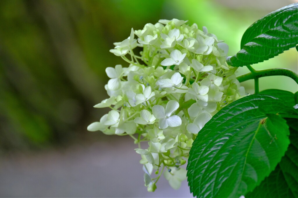 散歩の途中で。Ⅳ