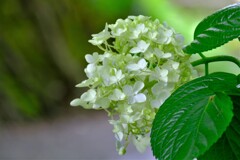 散歩の途中で。Ⅳ