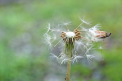 散歩の途中で。6